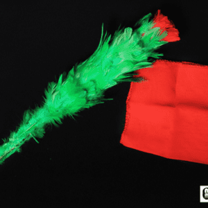 Rose to Silk (Blooming Flower to Silk) by Mr. Magic